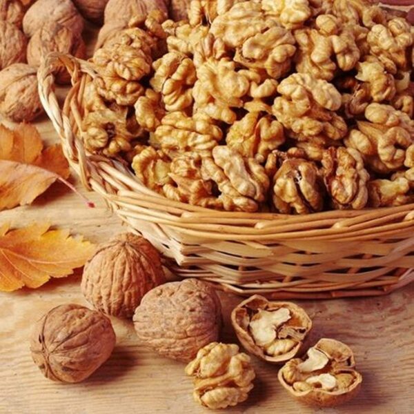 Walnut Kernals